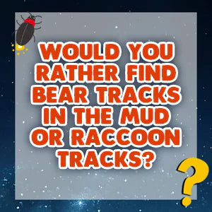 Would You Rather Campfire Edition question card: Would you rather find bear tracks in the mud or raccoon tracks?